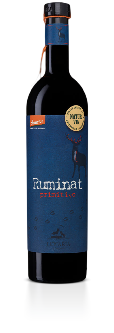 Ruminat Primitivo