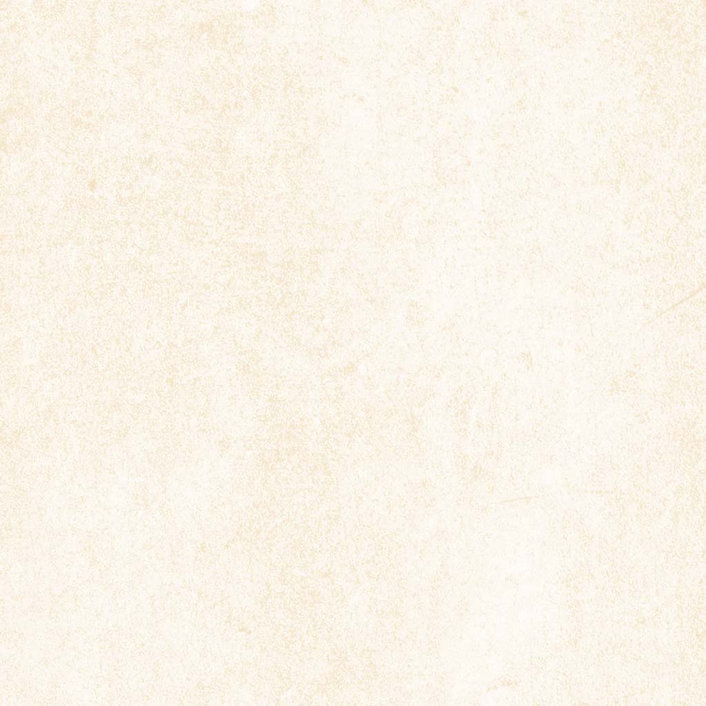 P.Lex Piemonte DOC Barbera