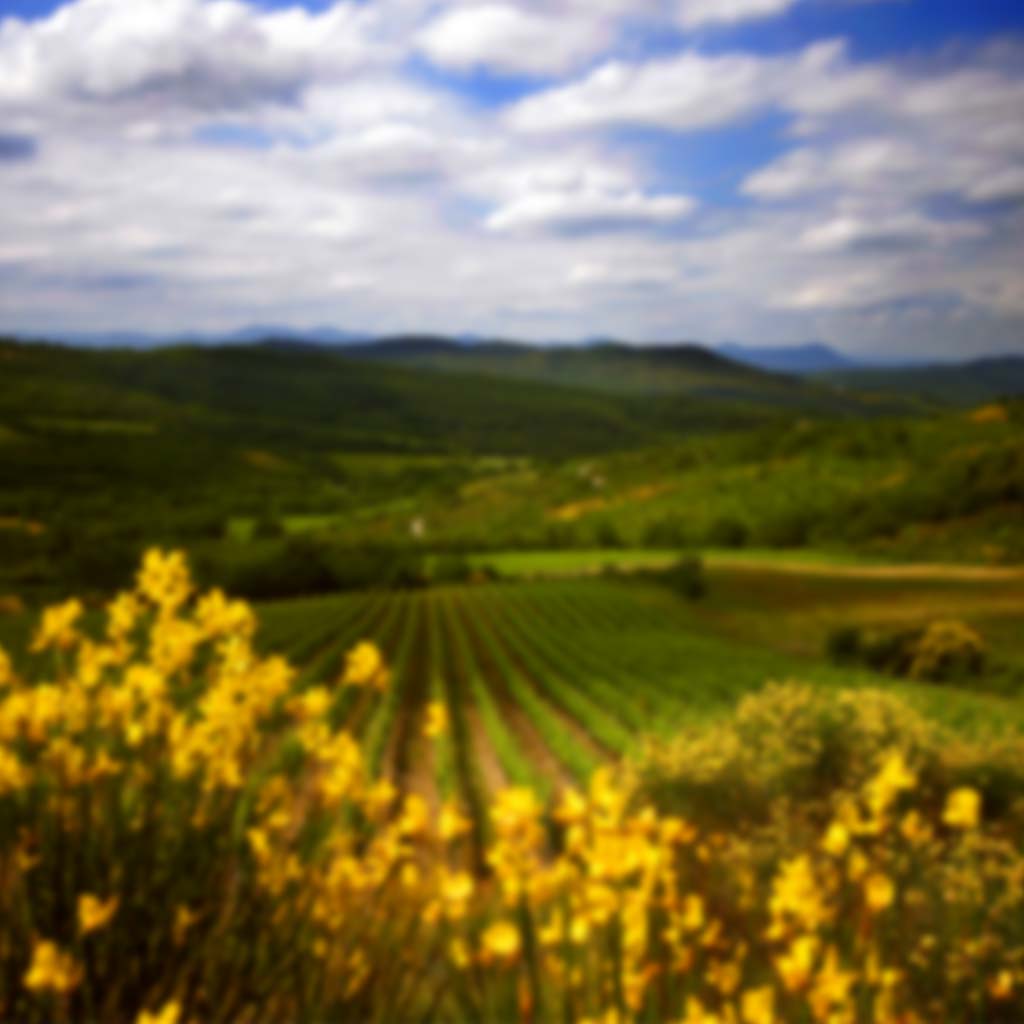 Gérard Bertrand Picpoul de Pinet