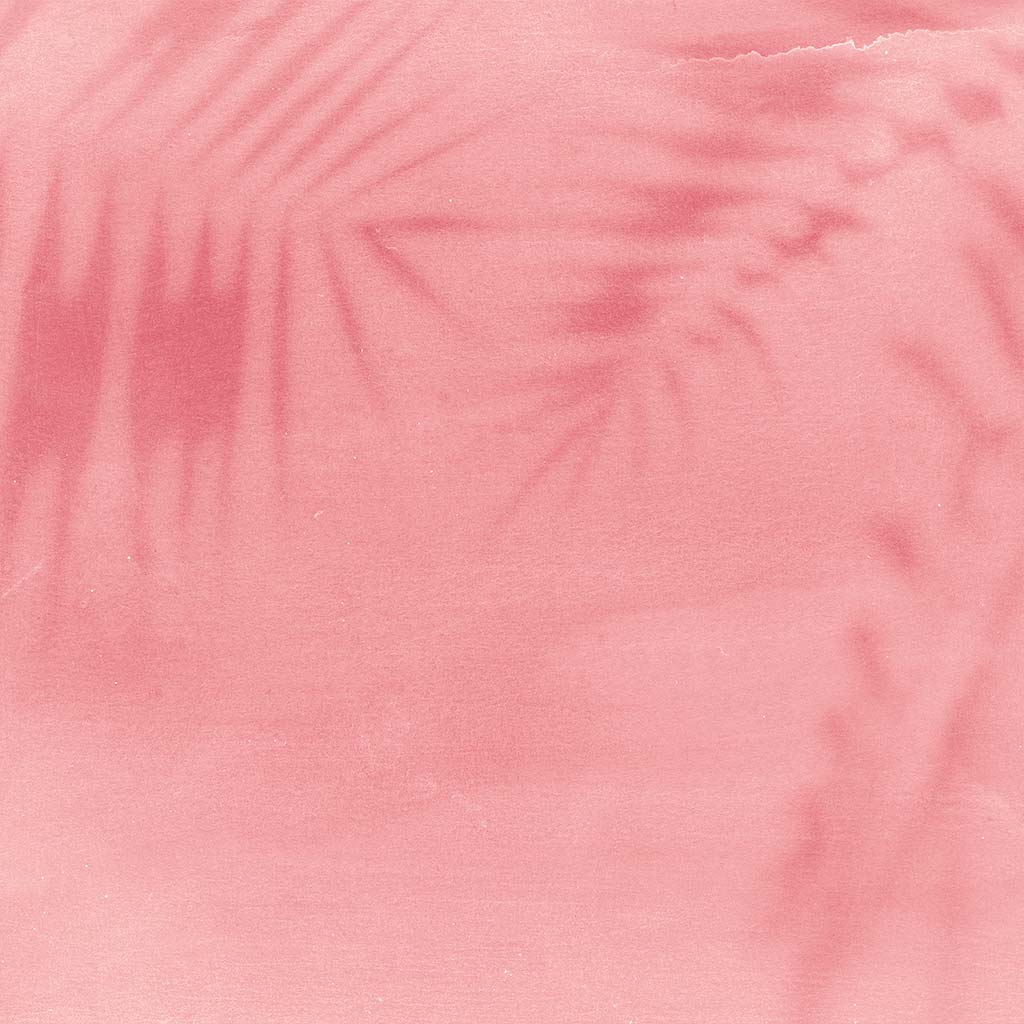 Julià & Navinès Cava Organic Rosé