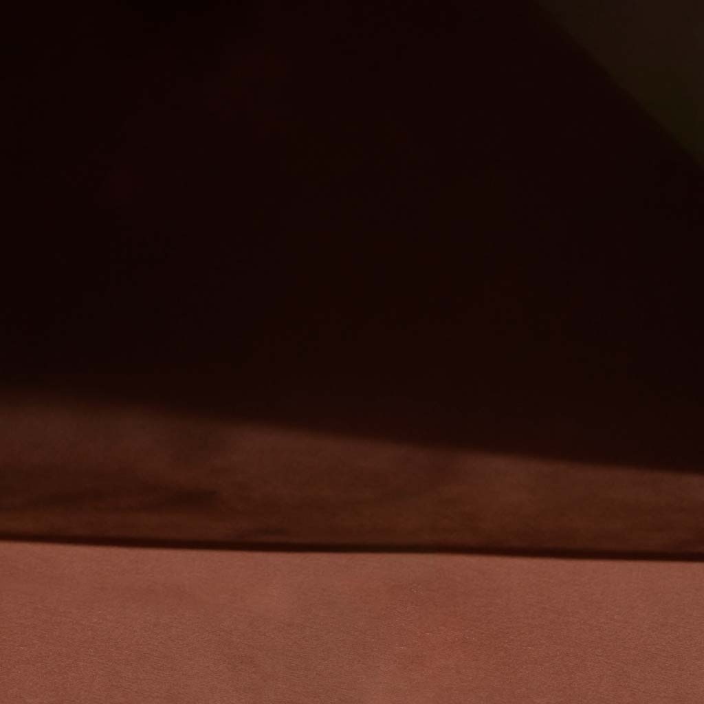 Inycon Appassimento Organic