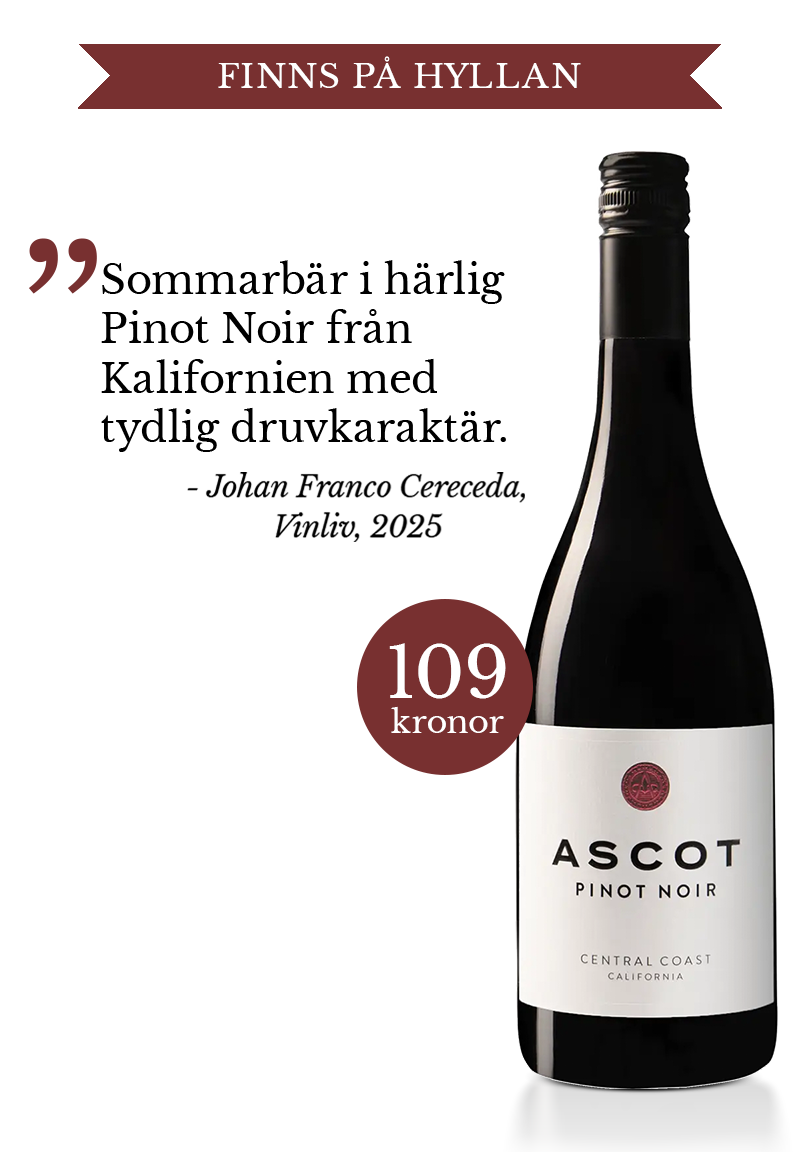 Ascot Pinot Noir, 2023