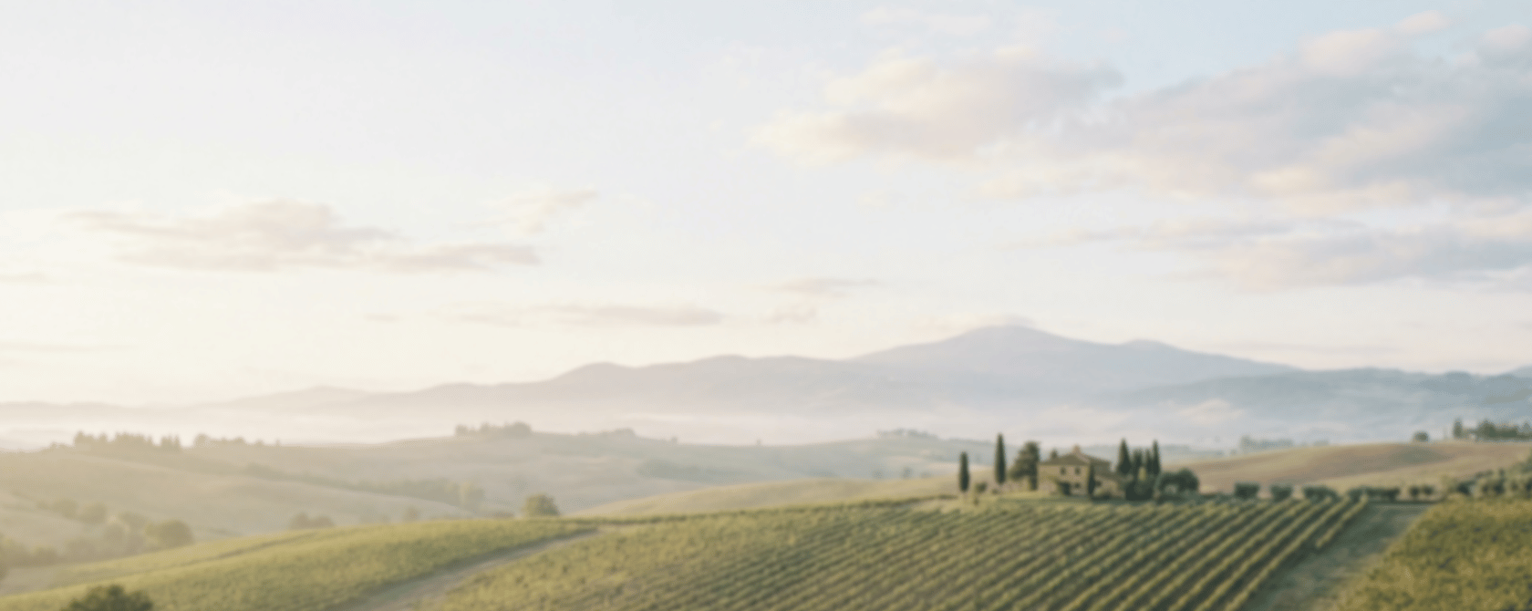 Cecchi Rosso di Montalcino, 2024