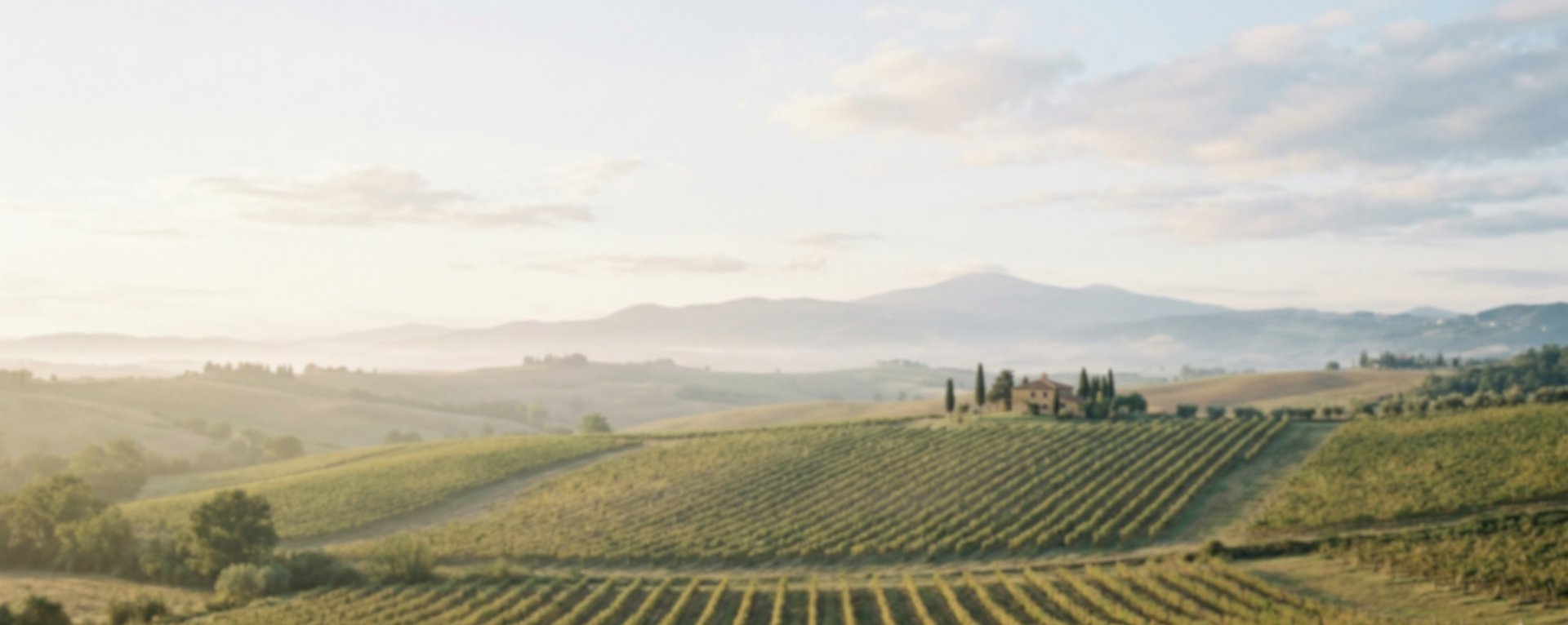 Cuvée 33 Coteaux Varois en Provence Rosé Organic, 2025