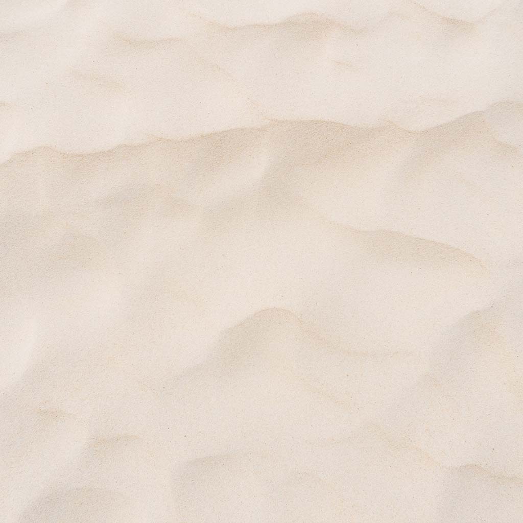 Perlage, Terra Viva Bio, 2021