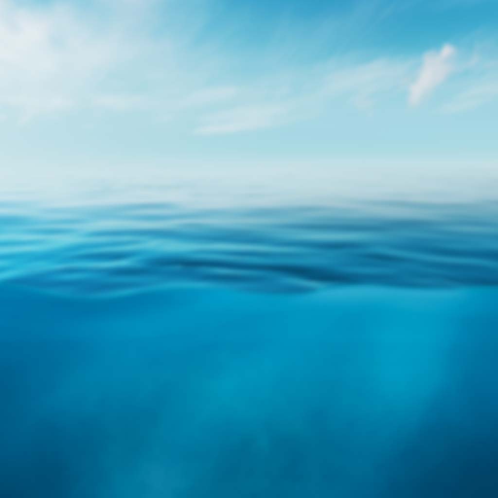 Revenge of the Little Squid