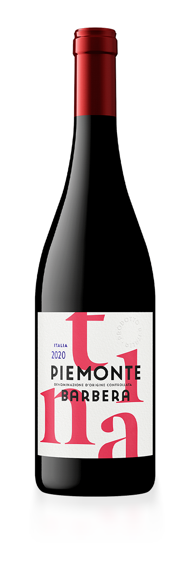 Tina, Piemonte Barbera, 2020