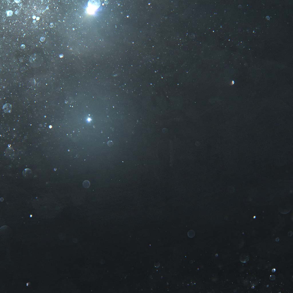 Freixenet Cordon Negro Brut Organic