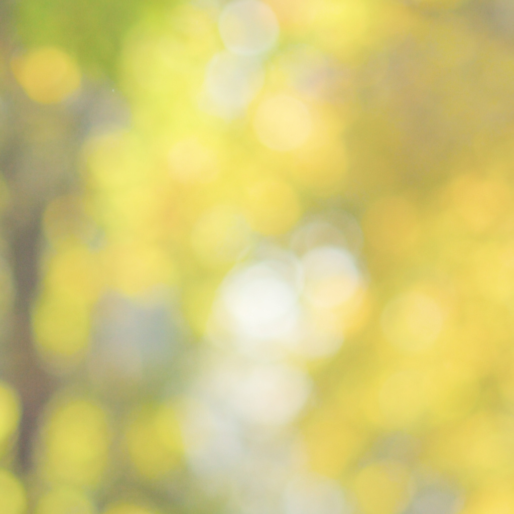 Lindemans Chardonnay