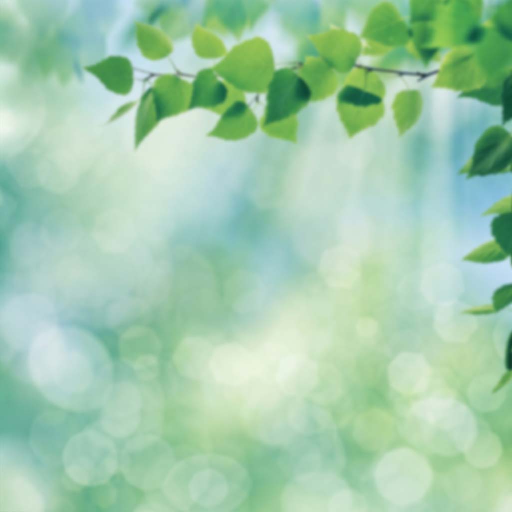 Puy Chéri Sauvignon Blanc, 2024