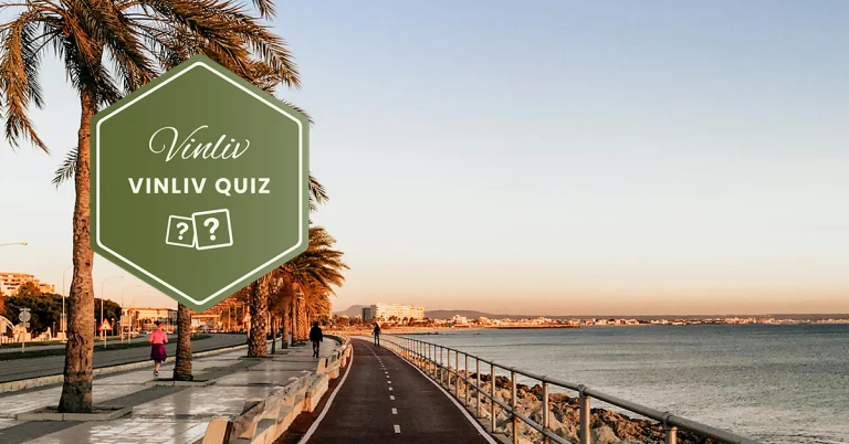 Väg vid vattnet med palmer bredvid.