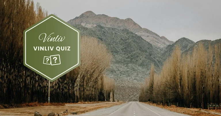 Väg, träd och berg.