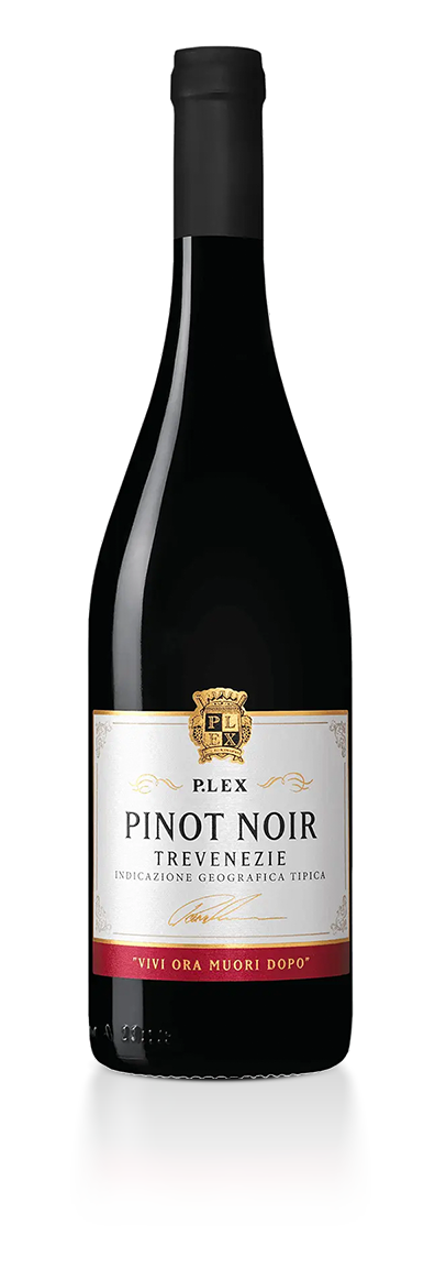 P.Lex Pinot Noir, 2023