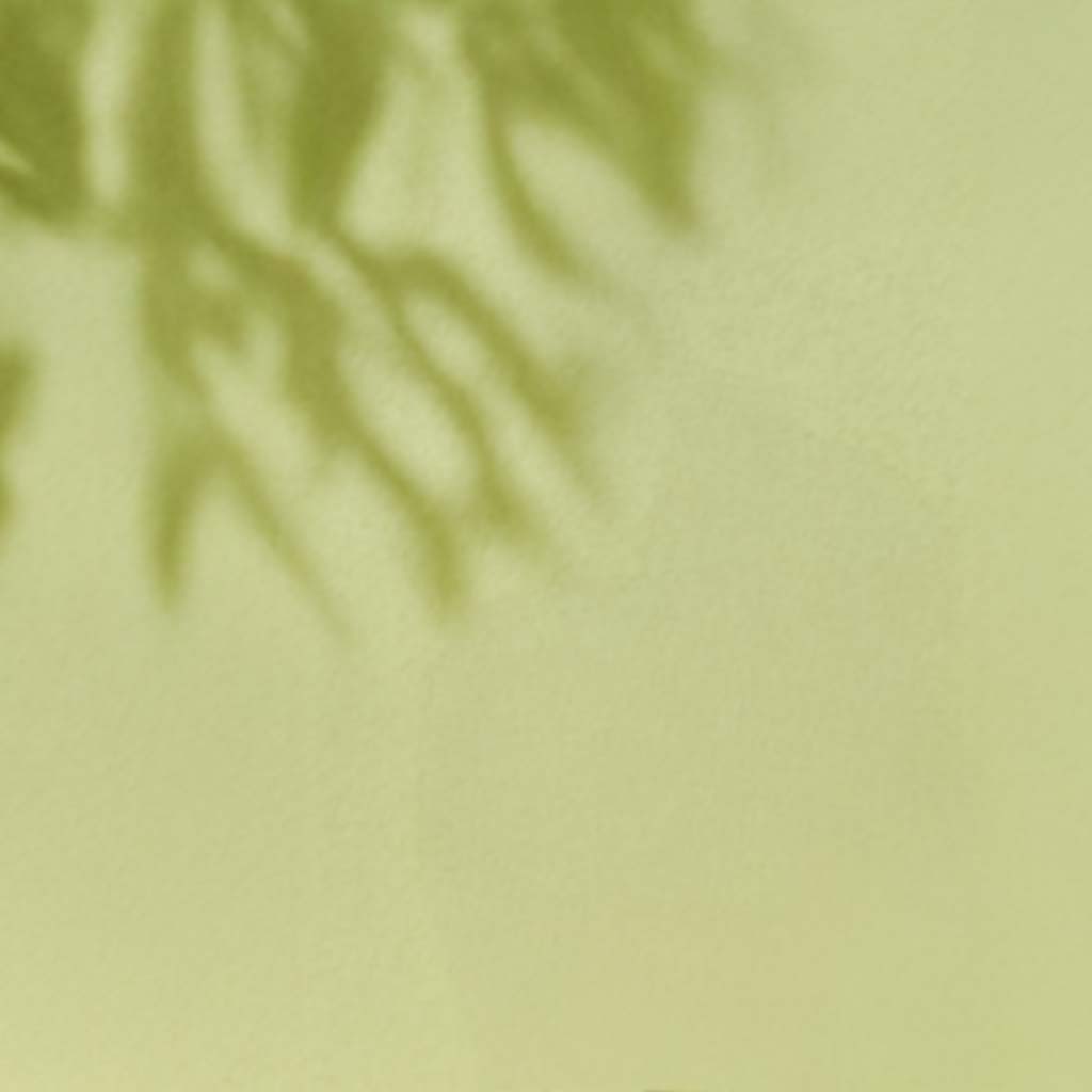 Boira Pecorino, 2024