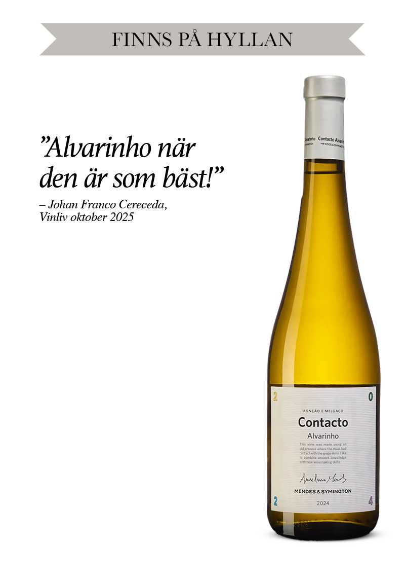 Contacto Alvarinho, 2024