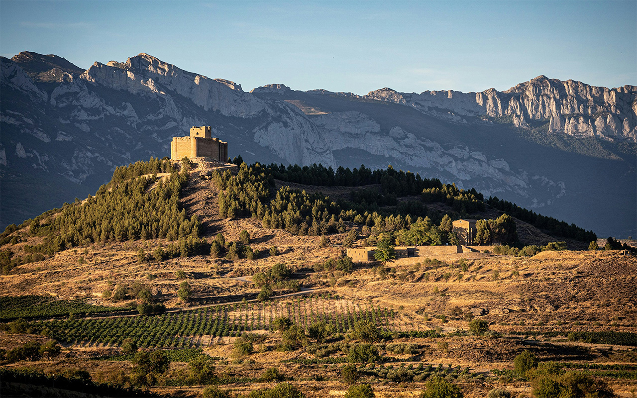 Rioja. Landskap i norra Spanien.