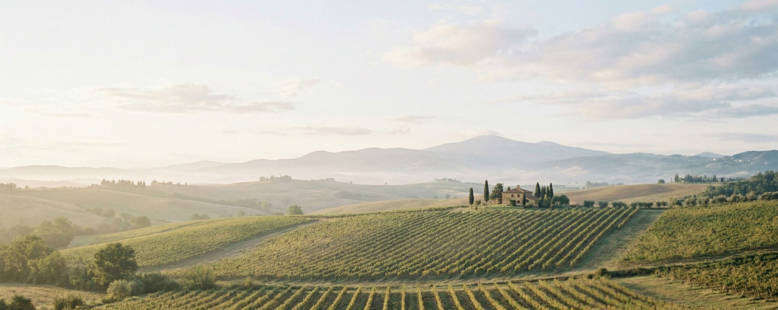 Ropiteau Chardonnay Grande Réserve, 2025